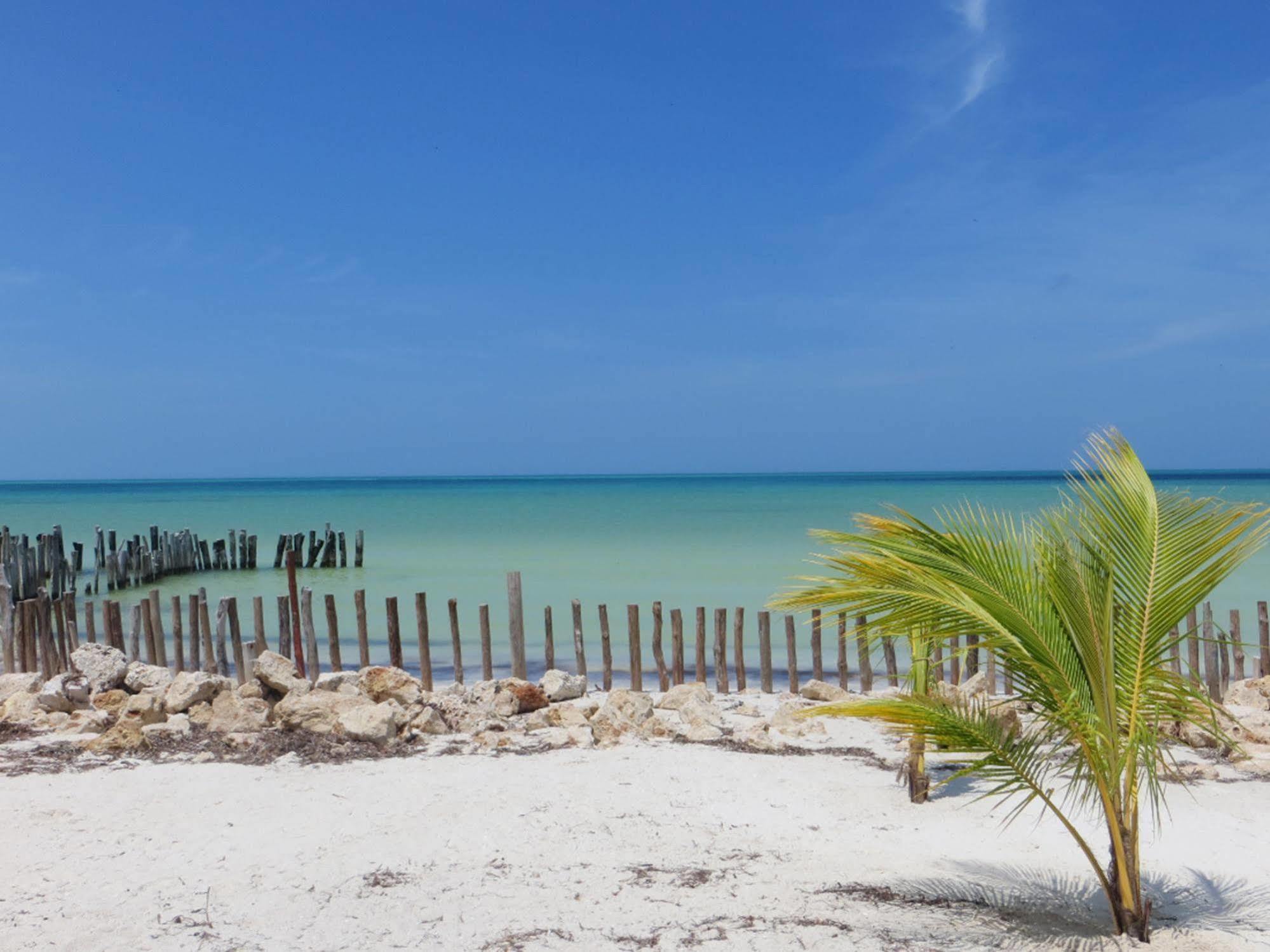 Golden Paradise Beach Holbox Eksteriør billede