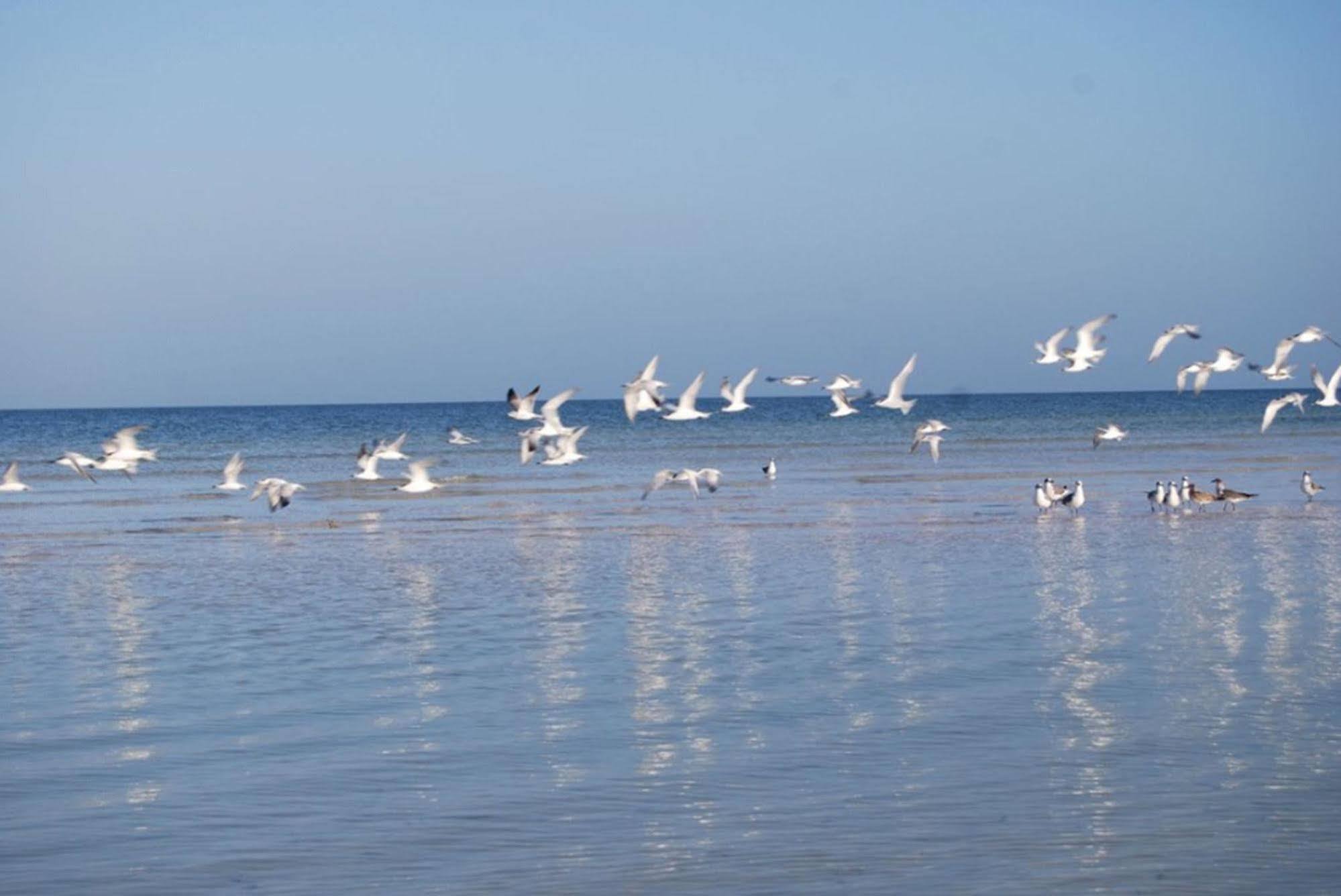 Golden Paradise Beach Holbox Eksteriør billede